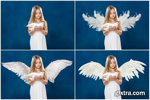 CreativeMarket 15 White Angel Wings Overlays PNG 164327