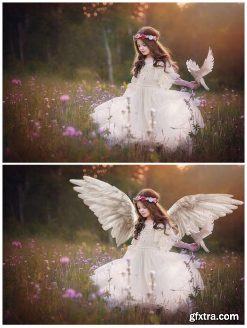 CreativeMarket 15 White Angel Wings Overlays PNG 164327