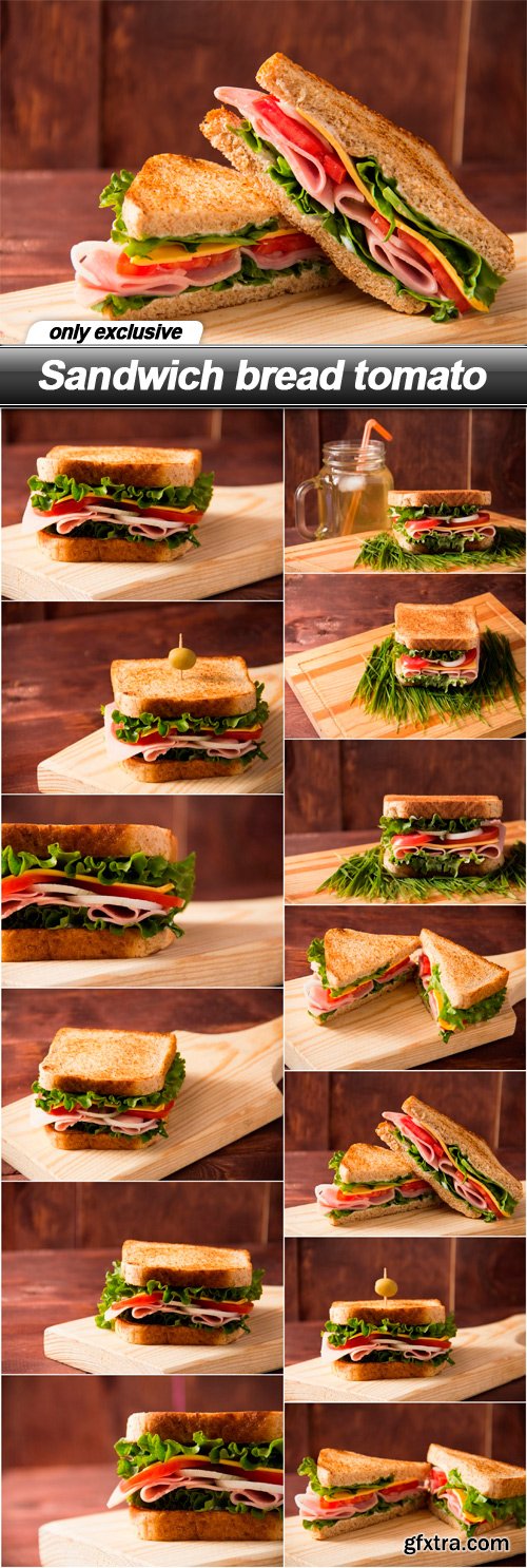 Sandwich bread tomato - 13 UHQ JPEG