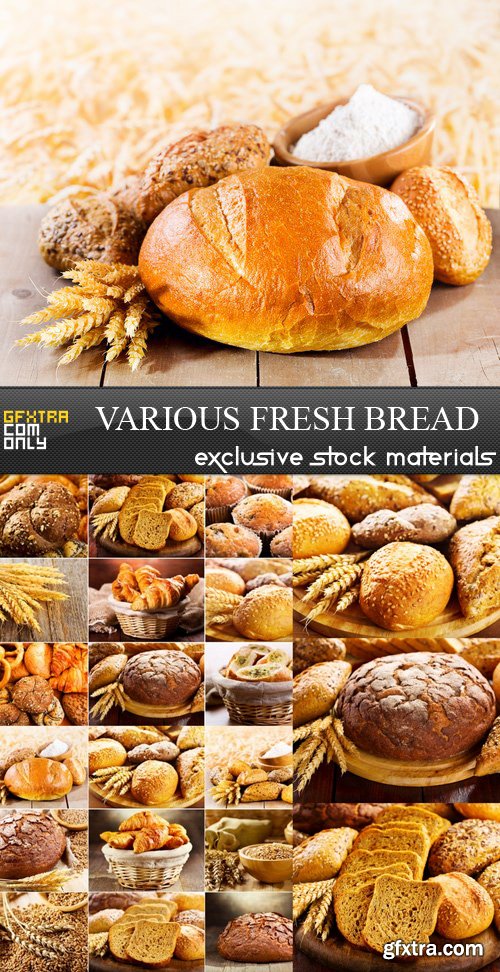 Various Fresh Bread - 6 UHQ JPEG