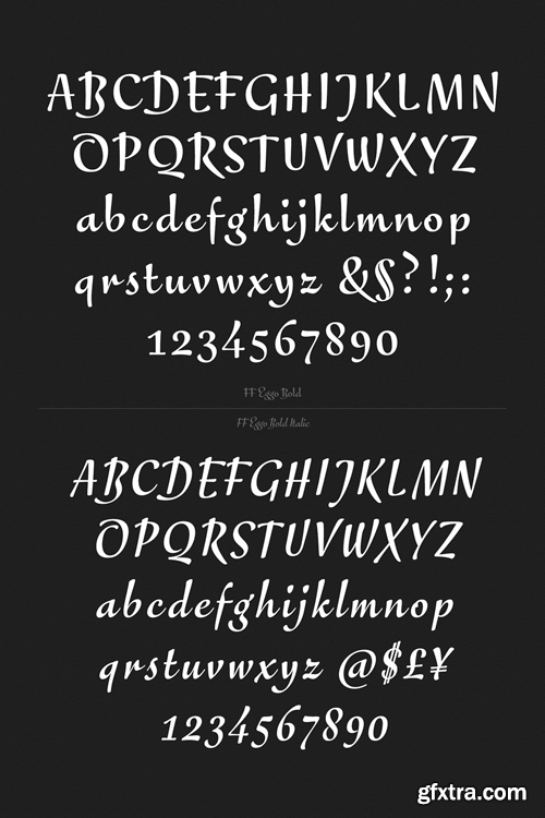 FF Eggo Font Family