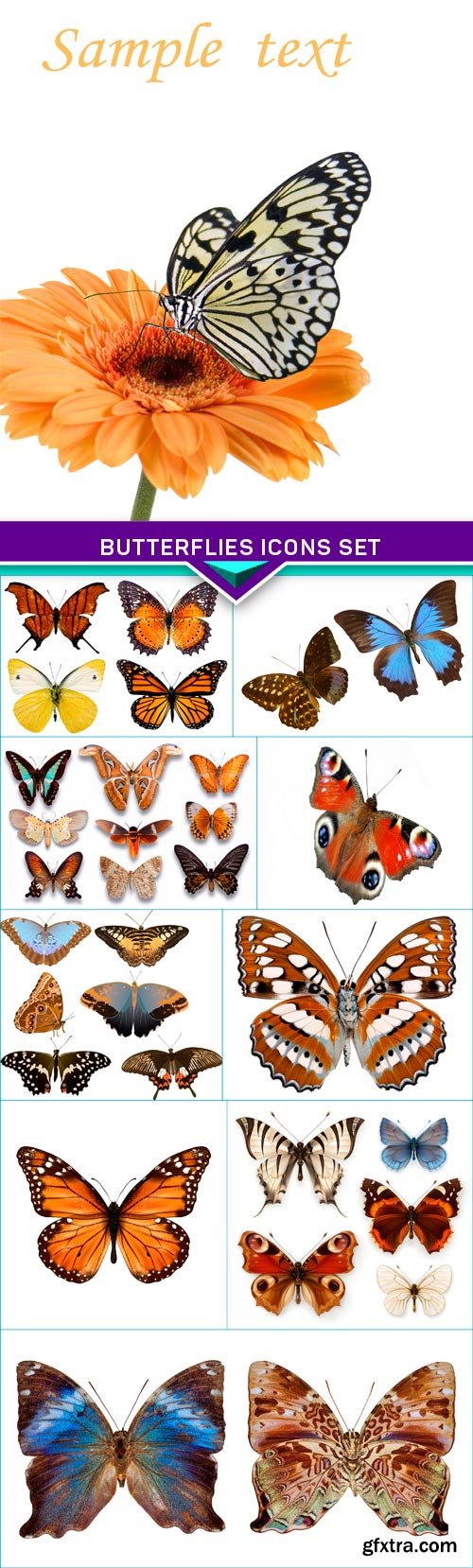 Butterflies icons set 10x JPEG