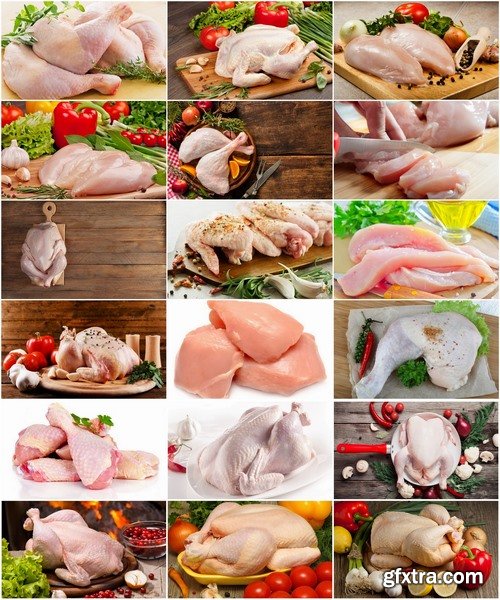 Collection of raw chicken fillet meat 25 HQ Jpeg