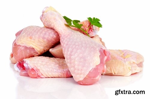 Collection of raw chicken fillet meat 25 HQ Jpeg