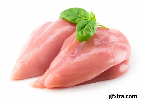 Collection of raw chicken fillet meat 25 HQ Jpeg