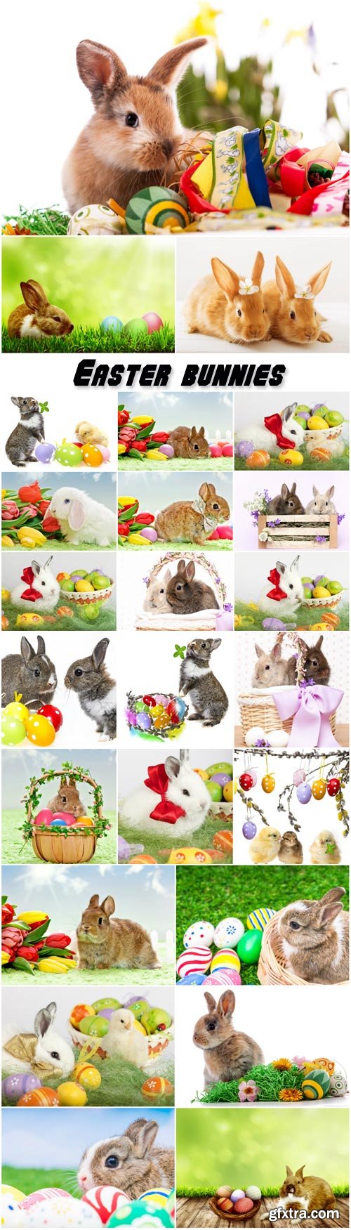 Easter bunnies, chicks, spring backgrounds