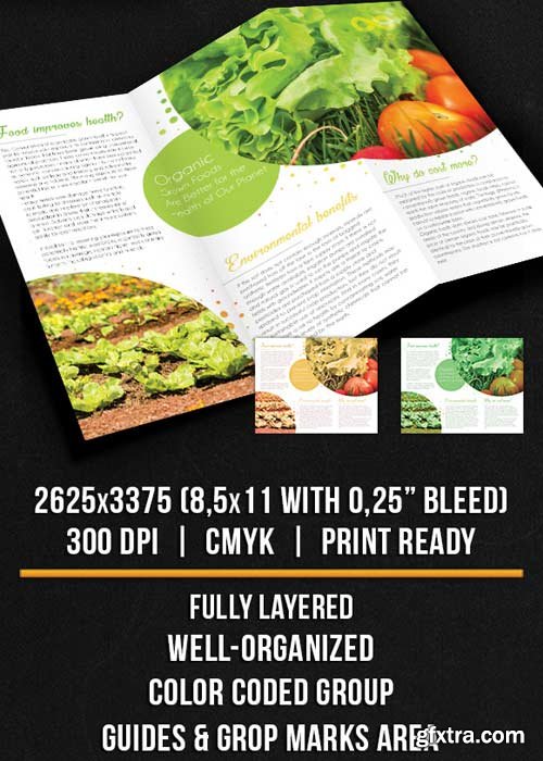 Organic Food – Tri-Fold Brochure PSD Template