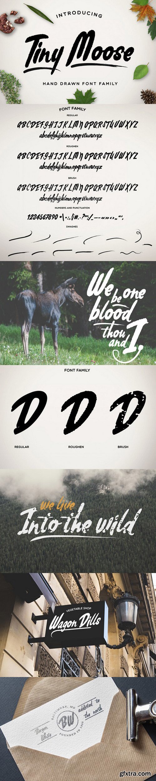 CM - Tiny Moose [Font Family + Swashes] 611040