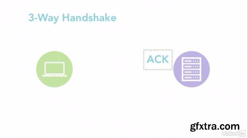 Foundations of Networking: Protocols and CLI Tools