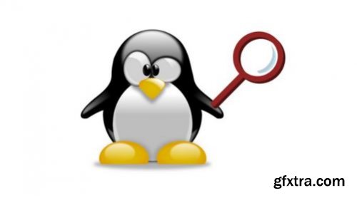 Searching in Linux: Regular Expressions for Beginners