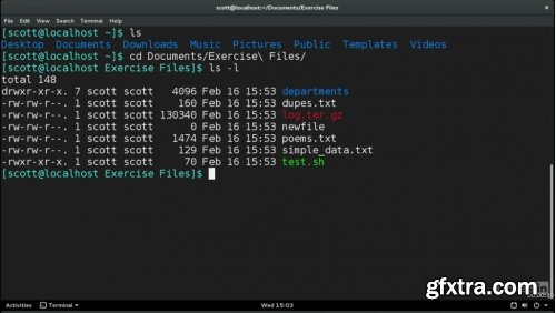 Learn the Linux Command Line: The Basics