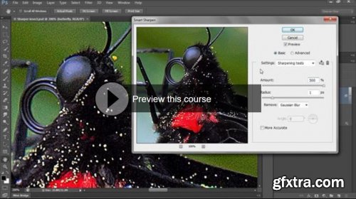 Photoshop CS6 One-on-One: Intermediate