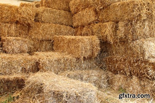 Collection of straw haystack pile of mown field of wheat 25 HQ Jpeg