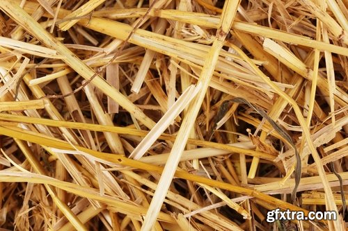 Collection of straw haystack pile of mown field of wheat 25 HQ Jpeg