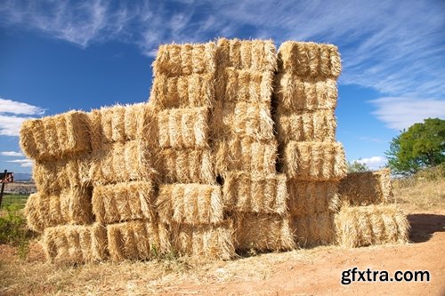 Collection of straw haystack pile of mown field of wheat 25 HQ Jpeg