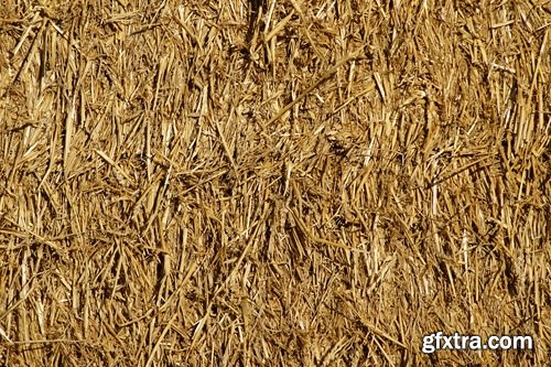 Collection of straw haystack pile of mown field of wheat 25 HQ Jpeg