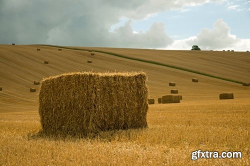 Collection of straw haystack pile of mown field of wheat 25 HQ Jpeg