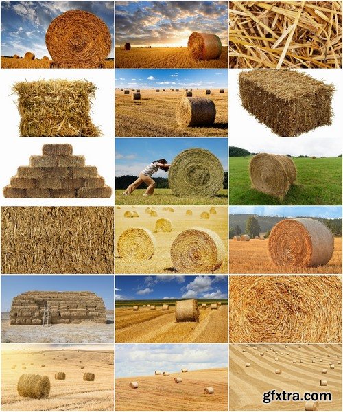 Collection of straw haystack pile of mown field of wheat 25 HQ Jpeg