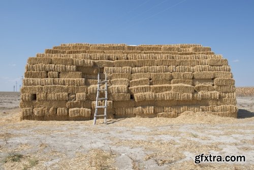 Collection of straw haystack pile of mown field of wheat 25 HQ Jpeg