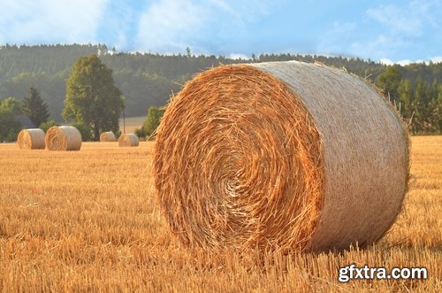 Collection of straw haystack pile of mown field of wheat 25 HQ Jpeg