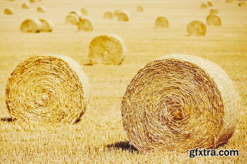 Collection of straw haystack pile of mown field of wheat 25 HQ Jpeg