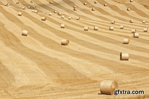 Collection of straw haystack pile of mown field of wheat 25 HQ Jpeg