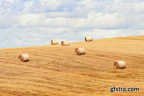 Collection of straw haystack pile of mown field of wheat 25 HQ Jpeg