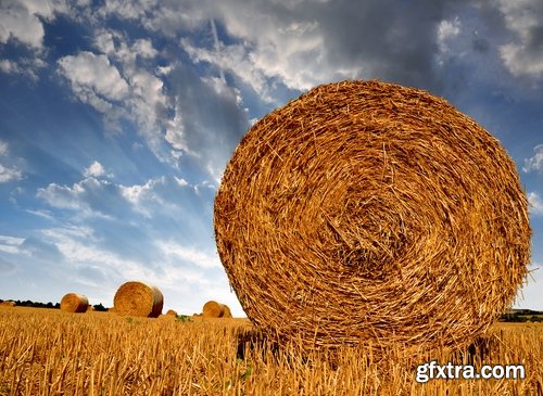 Collection of straw haystack pile of mown field of wheat 25 HQ Jpeg