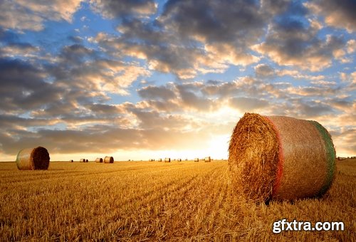 Collection of straw haystack pile of mown field of wheat 25 HQ Jpeg