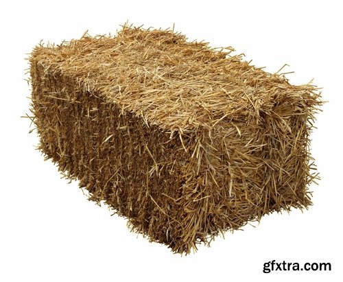 Collection of straw haystack pile of mown field of wheat 25 HQ Jpeg