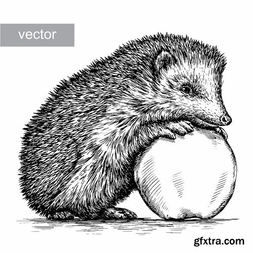 Collection hedgehog cartoon vector image 25 EPS