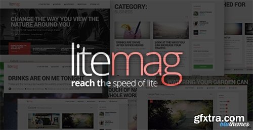 ThemeForest - LiteMag v1.5.0 - Easy to use Minimalist Magazine Theme - 8230483