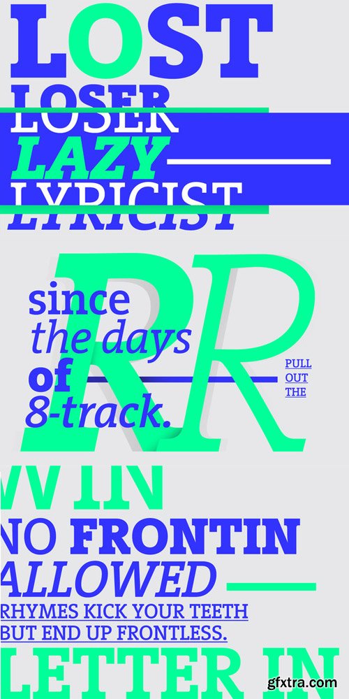 Vigor DT Font Family $784