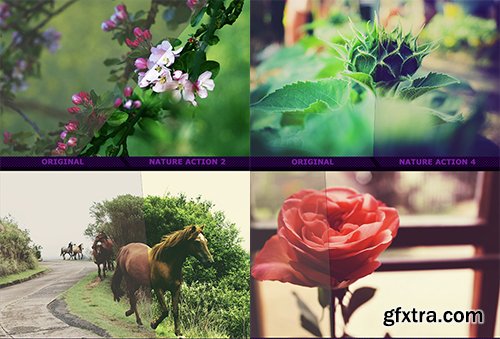 Graphicriver Nature Actions II 14892866