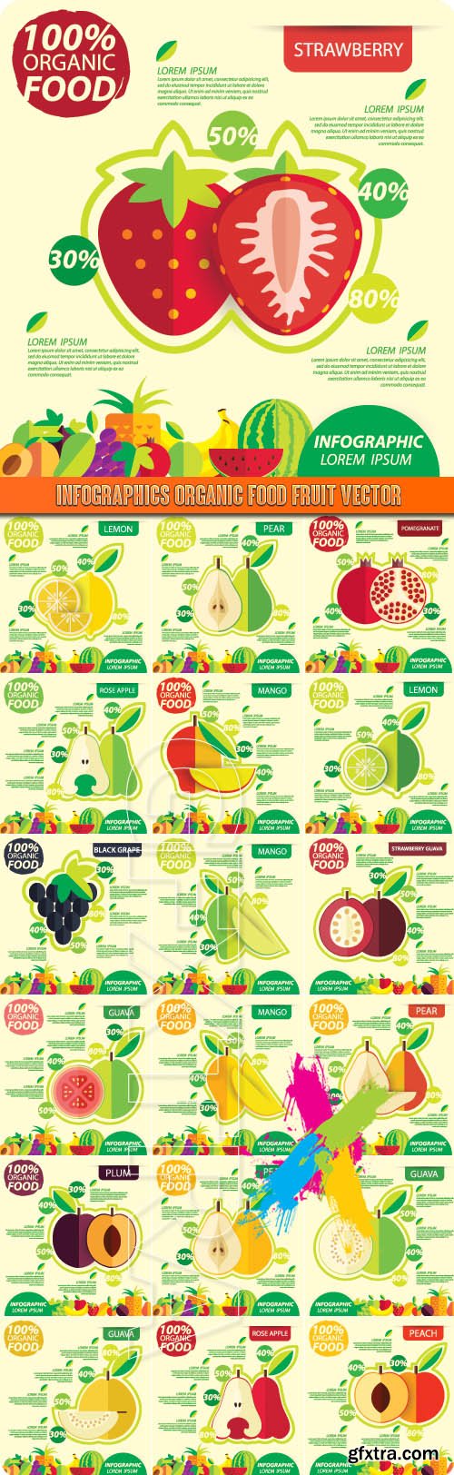 Infographics organic food fruit vector