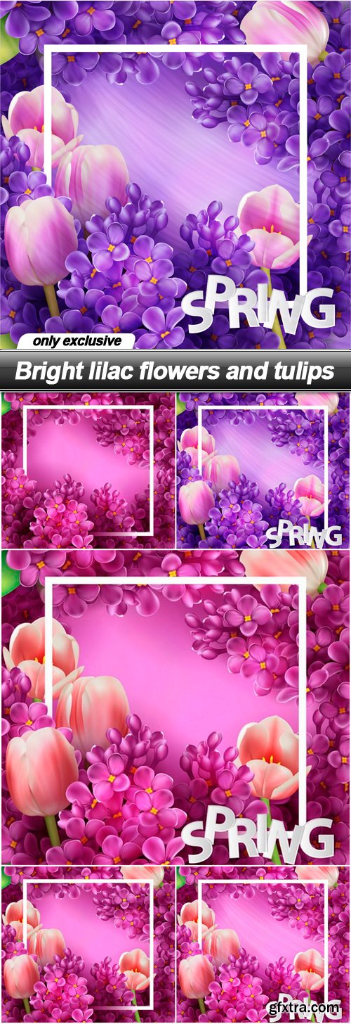 Bright lilac flowers and tulips - 5 EPS