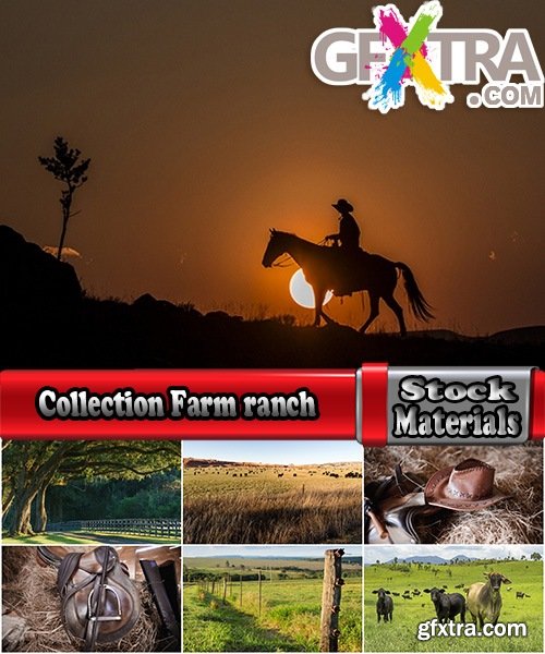 Collection Farm farmstead ranch cowboy shepherd cattle cow horse 25 HQ Jpeg