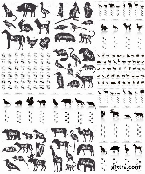 Collection icon animal footprint paw print vector image 25 EPS