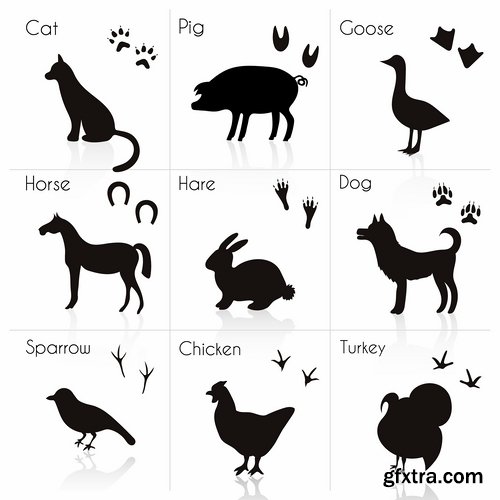 Collection icon animal footprint paw print vector image 25 EPS