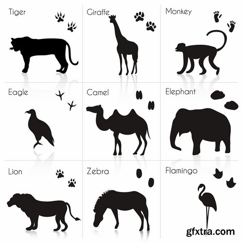 Collection icon animal footprint paw print vector image 25 EPS