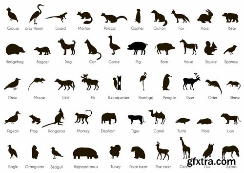 Collection icon animal footprint paw print vector image 25 EPS