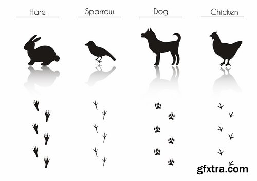 Collection icon animal footprint paw print vector image 25 EPS