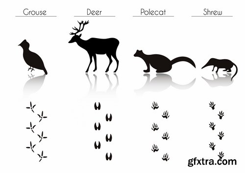 Collection icon animal footprint paw print vector image 25 EPS