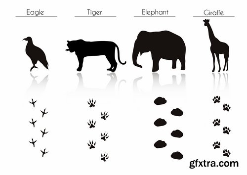 Collection icon animal footprint paw print vector image 25 EPS