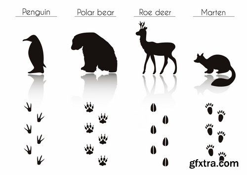 Collection icon animal footprint paw print vector image 25 EPS