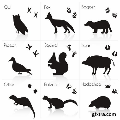 Collection icon animal footprint paw print vector image 25 EPS