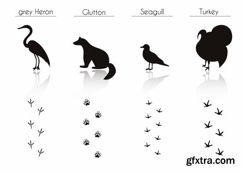 Collection icon animal footprint paw print vector image 25 EPS