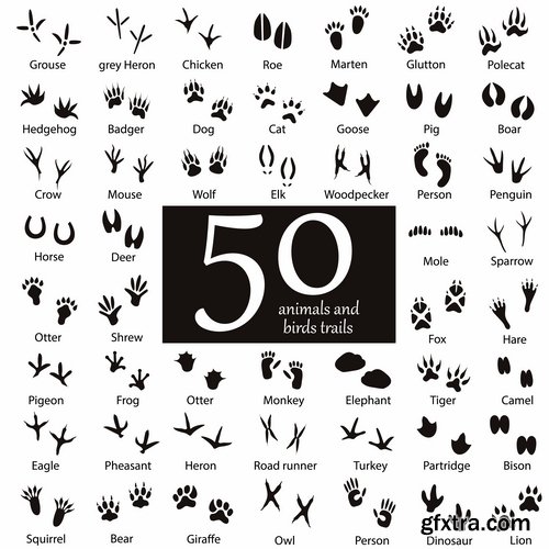 Collection icon animal footprint paw print vector image 25 EPS