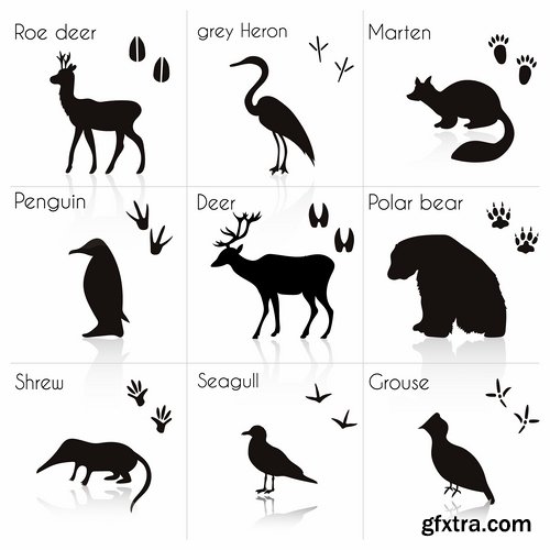 Collection icon animal footprint paw print vector image 25 EPS