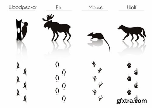 Collection icon animal footprint paw print vector image 25 EPS